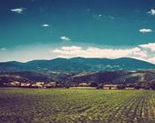 哪个平台最稳定的免费ddos平台攻击